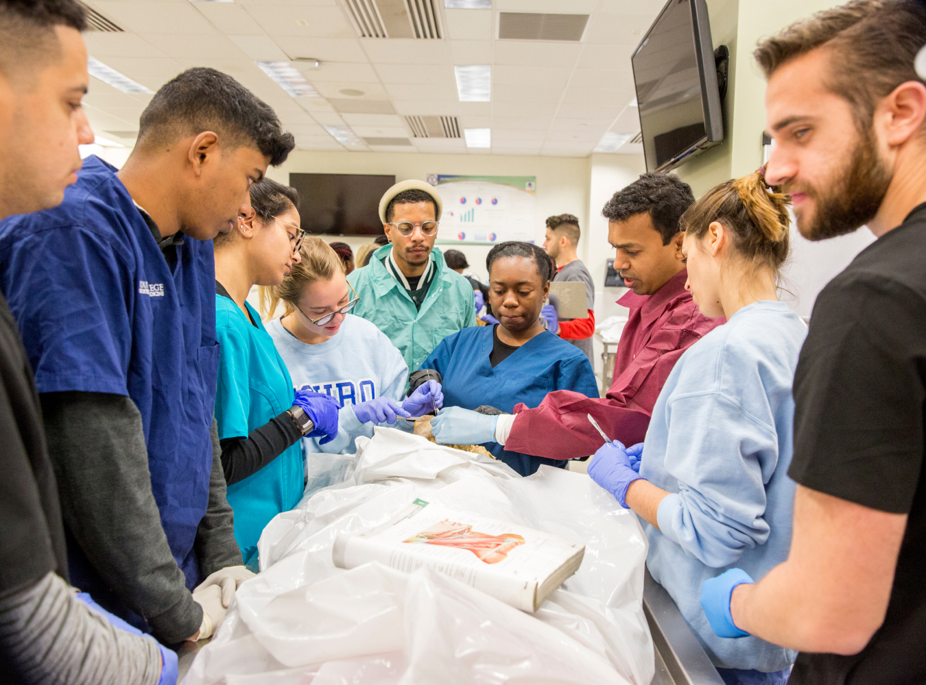 Group of students working on a cadaver