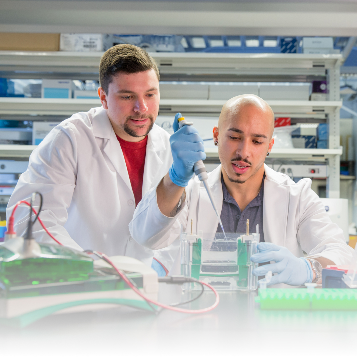 Two healthcare workers conducting research with samples in lab