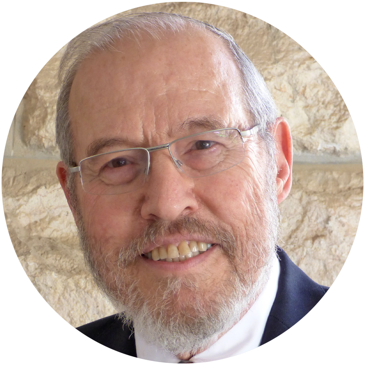 Rabbi Professor Carmi Horowitz