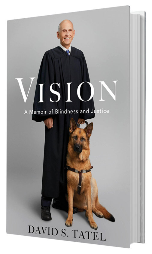 Cover of the book Vision: A Memoir of Blindness and Justice by David S. Tatel. The cover features David S. Tatel, a man wearing a judge’s robe, standing next to a German Shepherd guide dog.